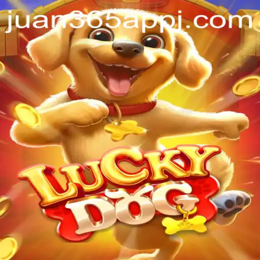 Exploring LuckyDog: A Comprehensive Guide to the Game and Its Exciting Features